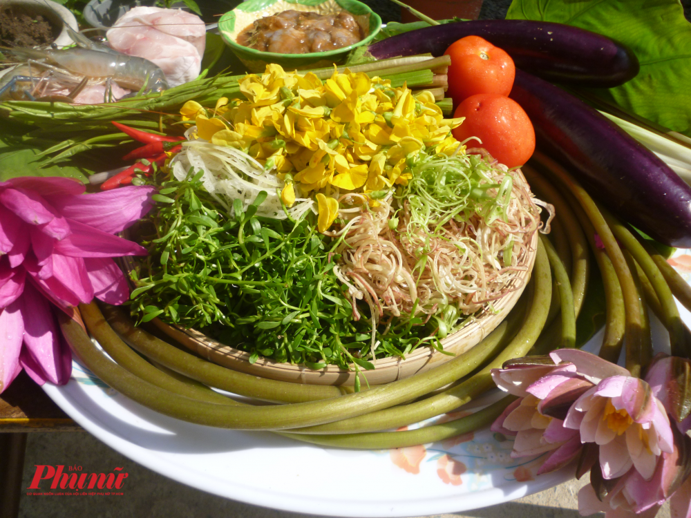 Được mùa bông súng mắm kho - Ảnh 2.