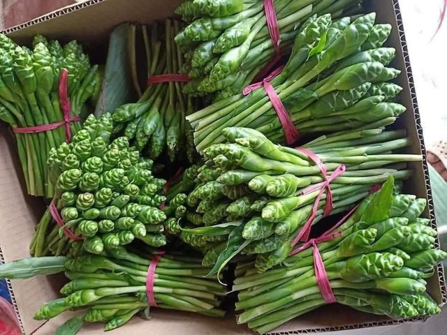 "Rau nhà nghèo" phủ sóng khắp Thủ đô, "thượng đế" tranh nhau mua