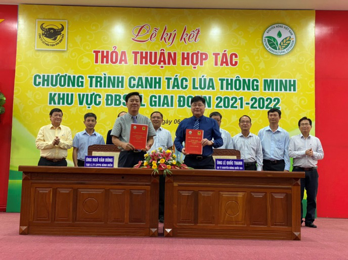 Bình Điền và Khuyến nông Quốc gia hợp tác canh tác lúa thông minh