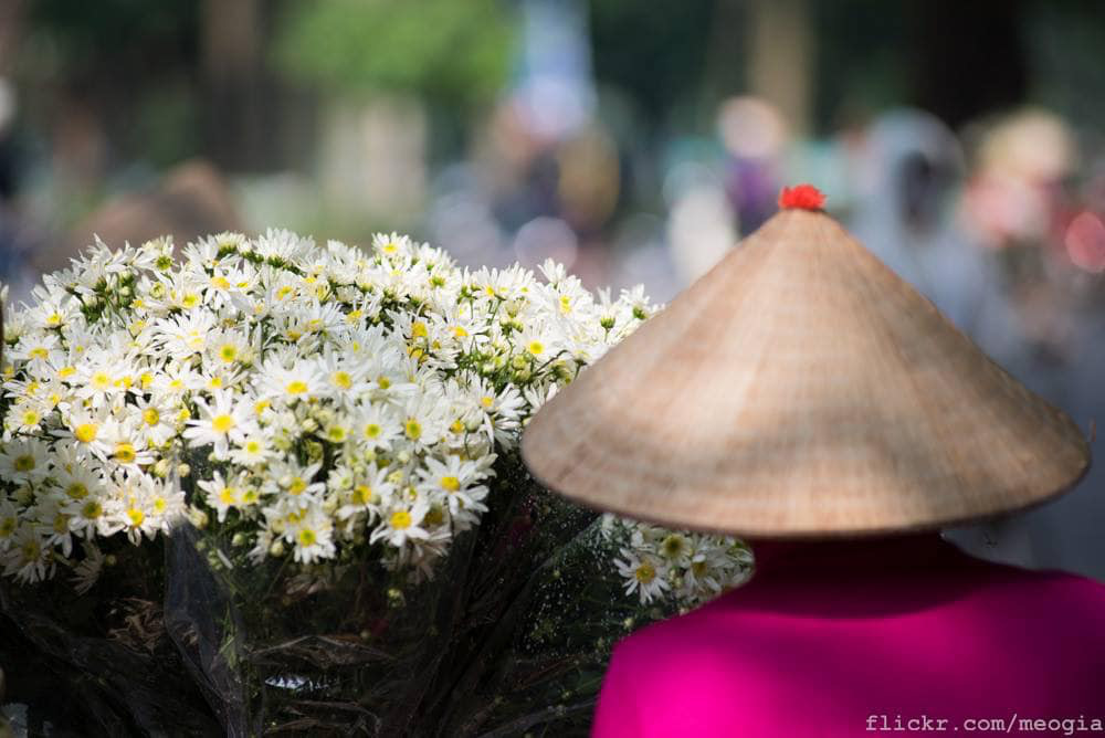 Tháng 11, cúc họa mi xuống phố - Ảnh 13.