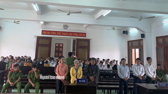 Hiệu trường mầm non &ldquo;ph&ugrave; ph&eacute;p&rdquo;, chiếm đoạt hơn 7 tỉ đồng của 3 ng&acirc;n h&agrave;ng - Ảnh 2.