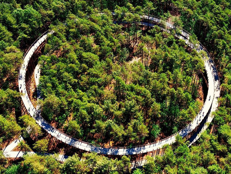 2 ng&ocirc;i nh&agrave; ở Việt Nam thắng giải thưởng kiến tr&uacute;c 2020 - Ảnh 4.