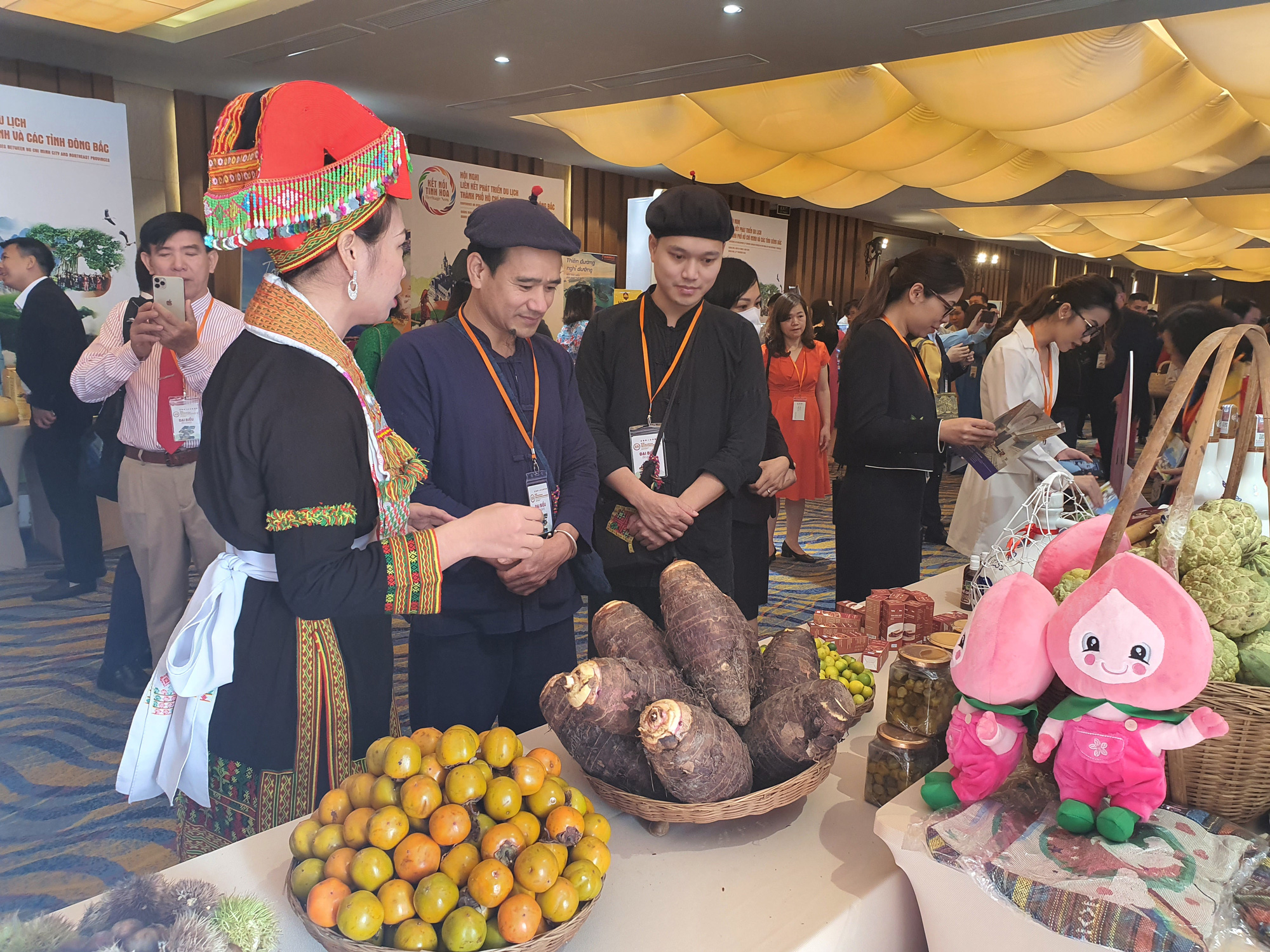 Phập phồng tour Tết