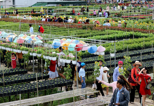 Du lịch Sa Đéc và nhu cầu hình thành những điểm giải trí mới - Ảnh 1.
