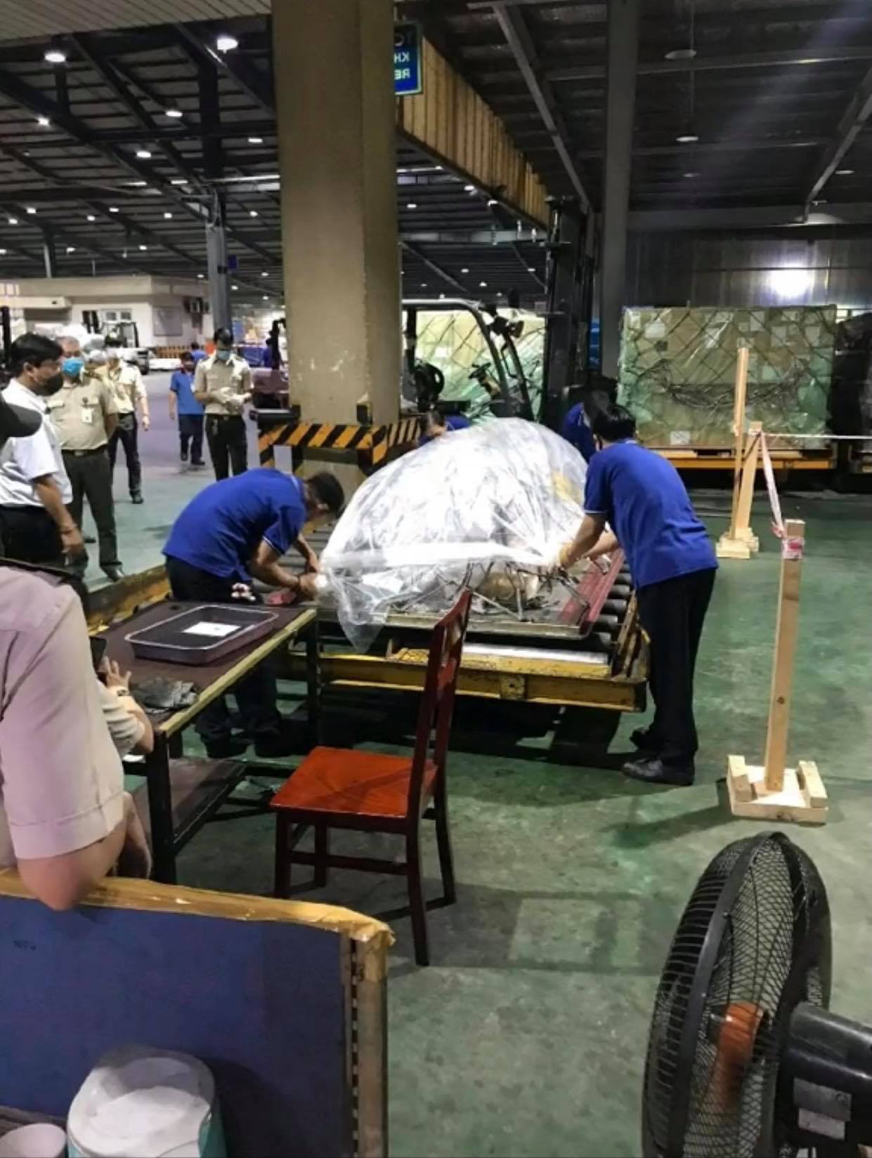 Nghệ sĩ Hoài Linh vẫy tay chào trong nước mắt tại sân bay tiễn biệt nghệ sĩ Chí Tài - Ảnh 3.