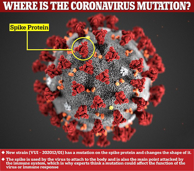 Biến thể mới của virus corona chủng mới "đang lây lan quá nhanh"