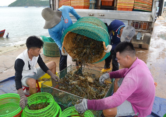 Năm 2020 đại hạ giá: Hải sản nhà giàu tràn vỉa hè, mua cả mâm về ăn - Ảnh 1.