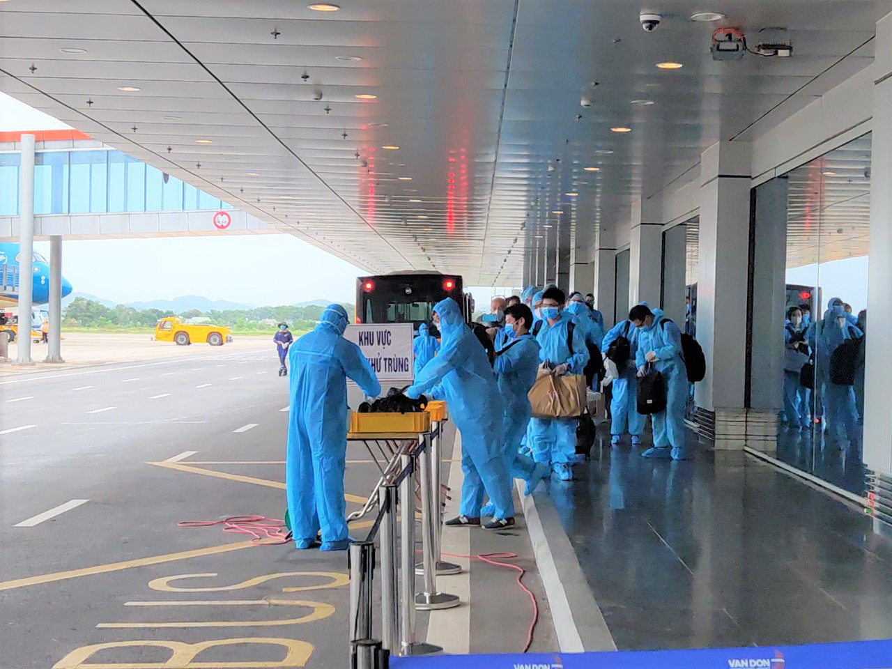 Đưa 310 người Việt từ Đức về nước - Ảnh 1.