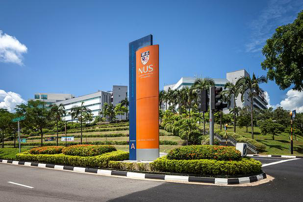 Học bổng và trợ giúp tài chính bậc cử nhân tại NUS - Ảnh 2.