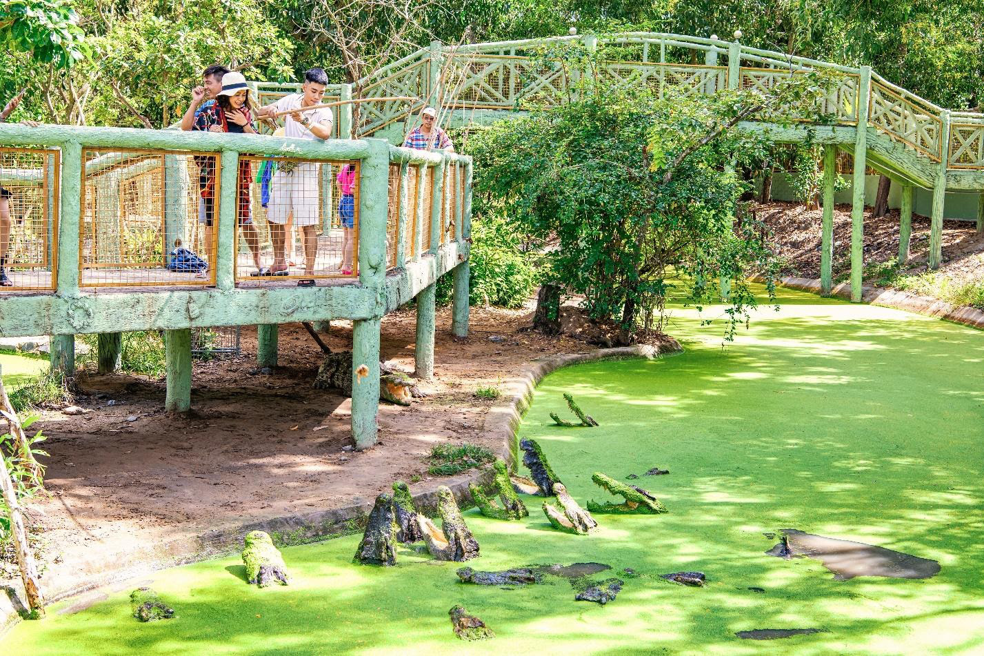 Nhiều hoạt động hấp dẫn tại Minera Hot Springs B&igrave;nh Ch&acirc;u dịp lễ Gi&aacute;ng sinh - Ảnh 6.