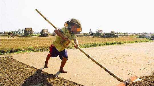 Hơn nửa triệu trẻ em Việt Nam làm công việc nguy hại đến sức khỏe, đạo đức