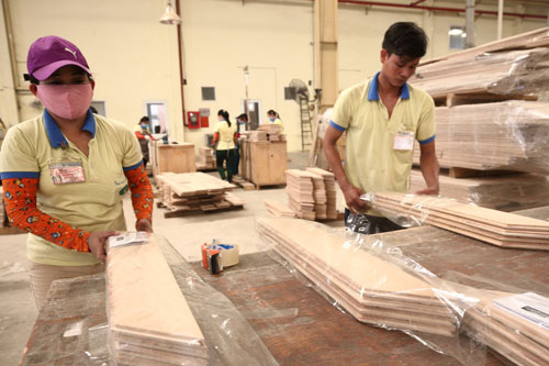 Nhiều mặt hàng trụ vững trong dịch