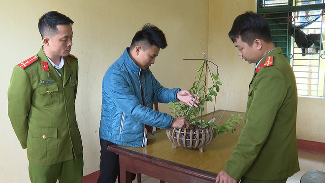 Bắt 3 kẻ lừa b&aacute;n lan đột biến, chiếm đoạt hơn 1 tỉ đồng - Ảnh 3.