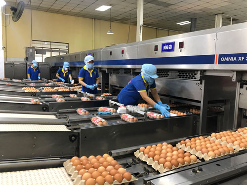 H&agrave;ng gi&aacute; trị gia tăng cao kh&oacute; ti&ecirc;u thụ - Ảnh 1.