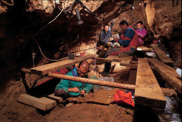 Sốc: Một loài người tuyệt chủng từng mang đặc tính của gấu - Ảnh 1.