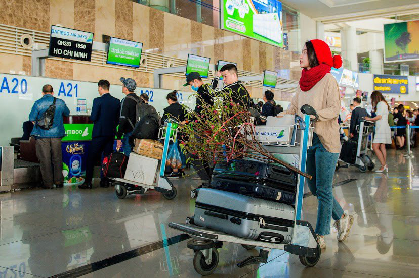 Hàng không nhận vận chuyển cành đào, cành mai Tết giá 495.000 đồng/bó
