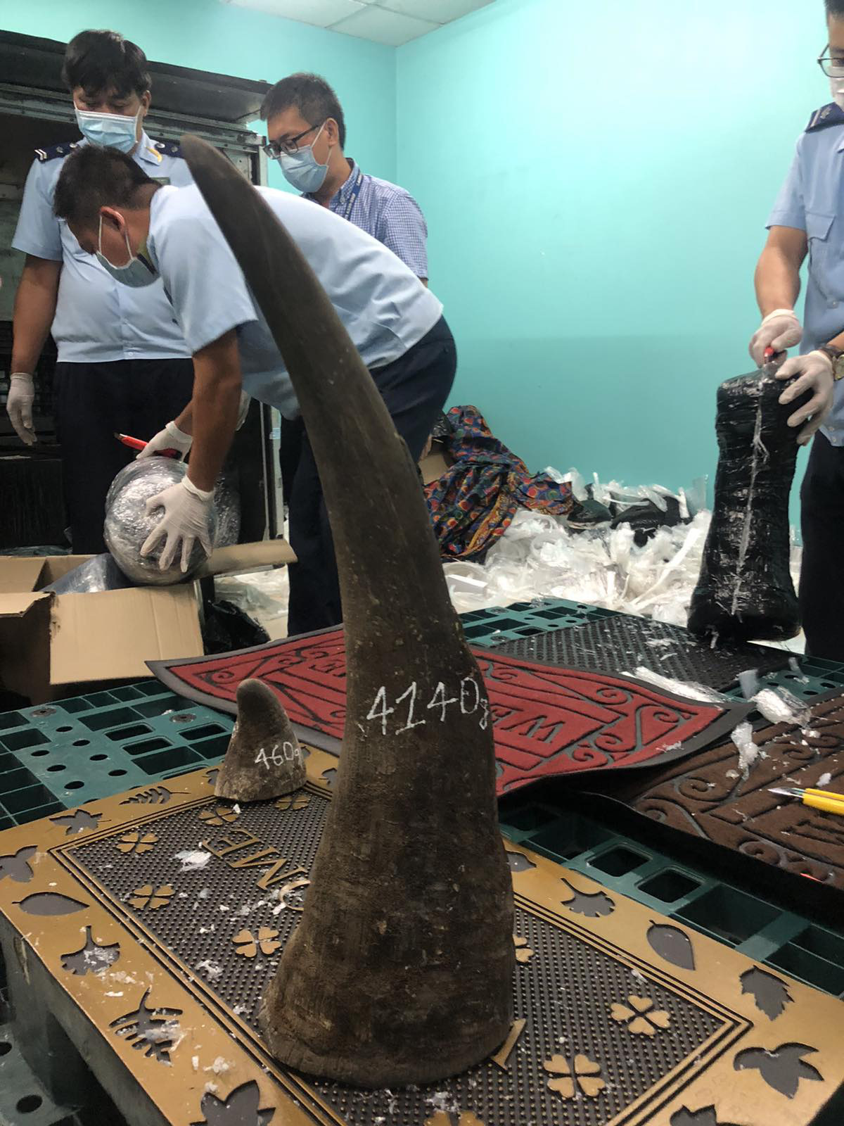 Phát hiện lượng mẫu vật lớn nhất từ trước đến nay ở Tân Sơn Nhất, nghi là hàng cấm - Ảnh 2.