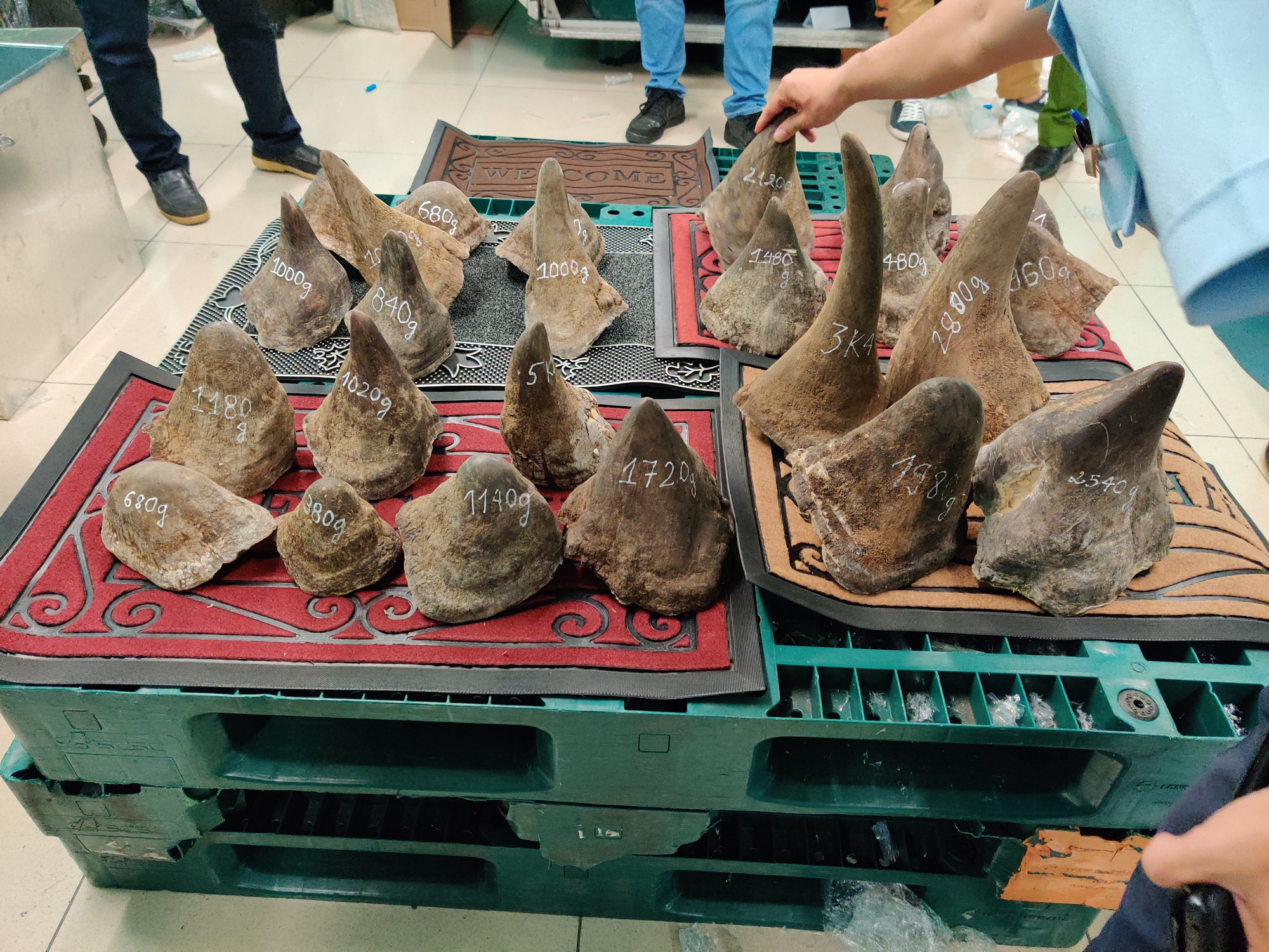 Phát hiện lượng mẫu vật lớn nhất từ trước đến nay ở Tân Sơn Nhất, nghi là hàng cấm