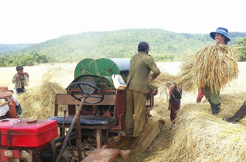 Bảo hộ chỉ dẫn địa lý "Mang Yang" cho gạo Ba Chăm, Gia Lai