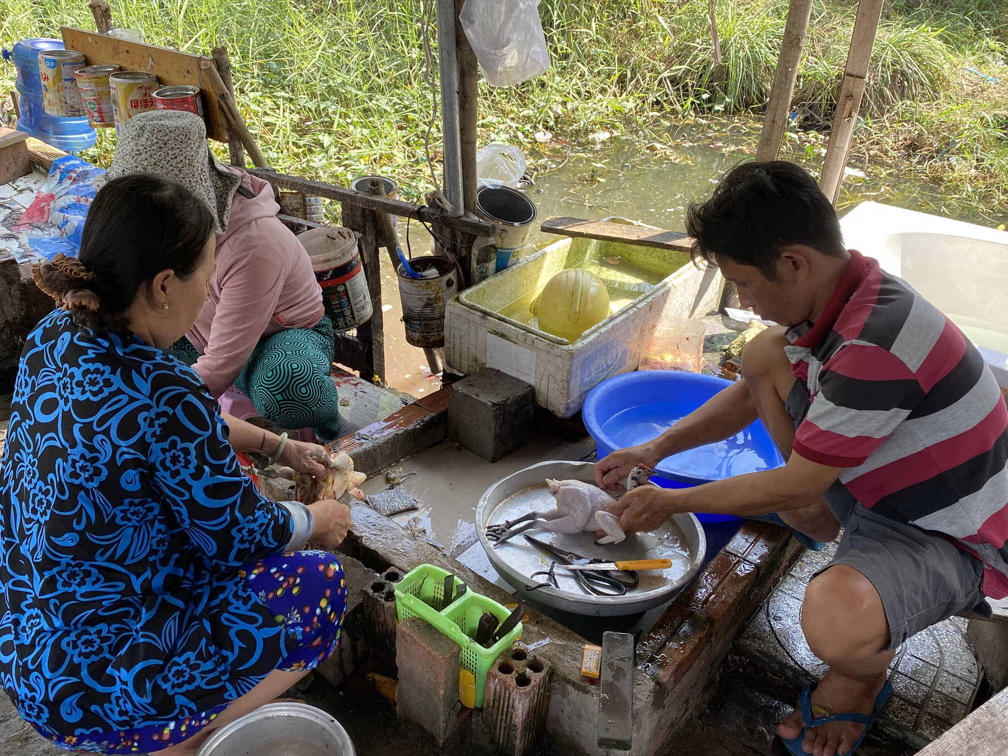 Nhiều điểm bán chim, gà tre tự phát ở TP HCM - Ảnh 8.