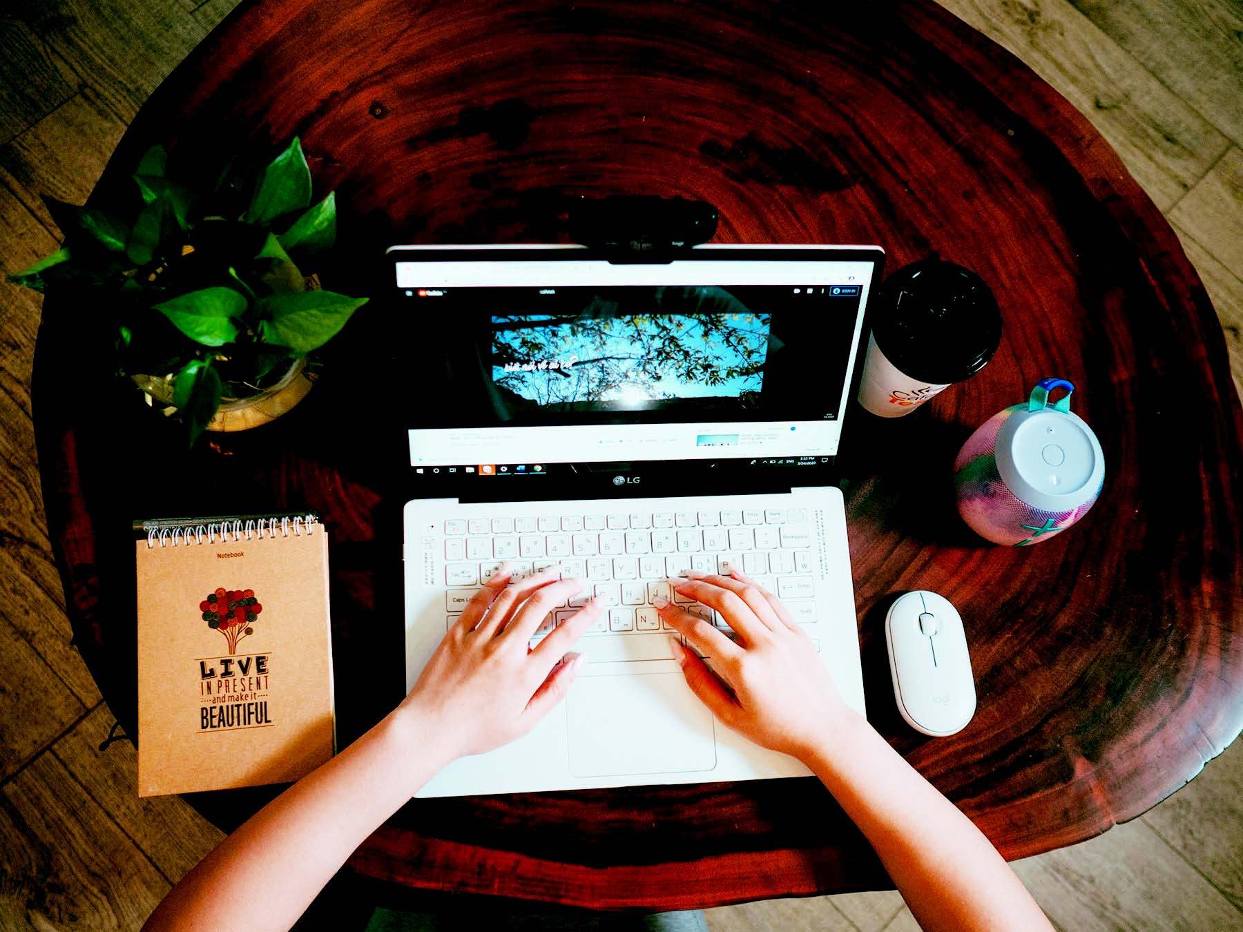 Chọn chuột cho laptop, dễ mà khó