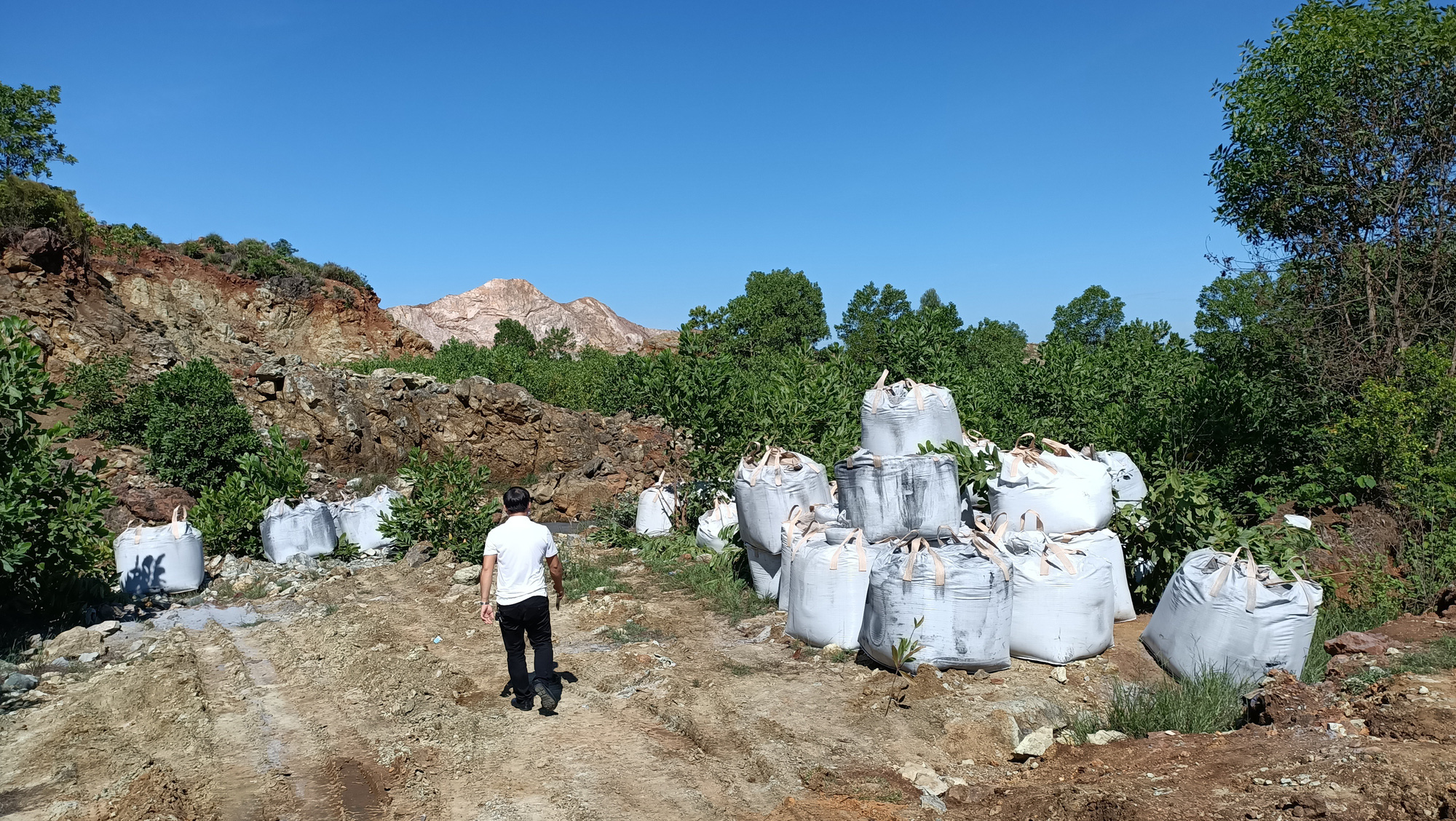 Mang chất thải từ Ninh B&igrave;nh về Thanh H&oacute;a đổ trộm, bị phạt 80 triệu đồng - Ảnh 1.