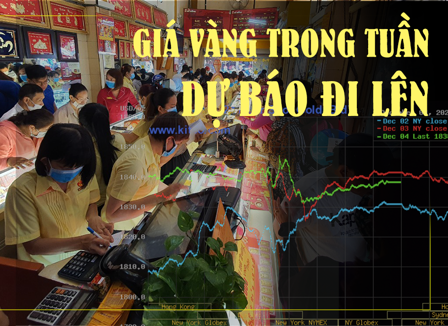 [eMagazine] Giá vàng "đảo điên", nhà đầu tư run tay, vàng lậu rình rập