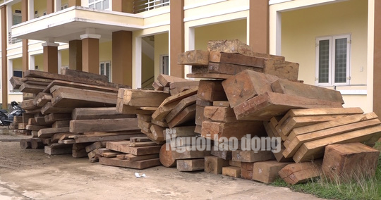 Bắt giữ &ldquo;Sơn Lập&rdquo; c&ugrave;ng đ&agrave;n em mang s&uacute;ng, m&aacute;y cưa v&agrave;o rừng Trường Sơn ph&aacute; hơn 30m3 gỗ qu&yacute; - Ảnh 6.