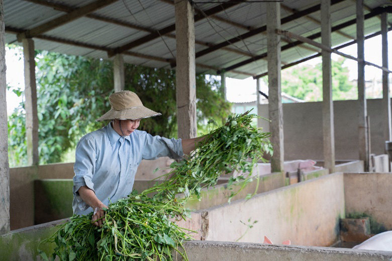 GREENFEED c&ugrave;ng &ldquo;Tiếp Sức Nh&agrave; N&ocirc;ng&rdquo; trao nguồn sức mạnh đến phụ nữ n&ocirc;ng th&ocirc;n - Ảnh 2.