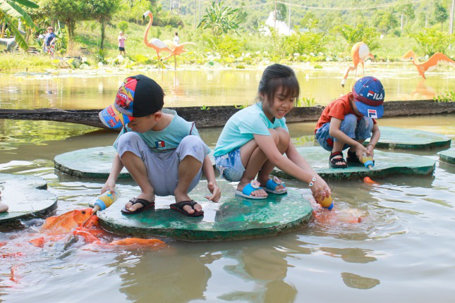 Công viên Du lịch Yang Bay – Thế giới kỳ thú dành cho các em nhỏ