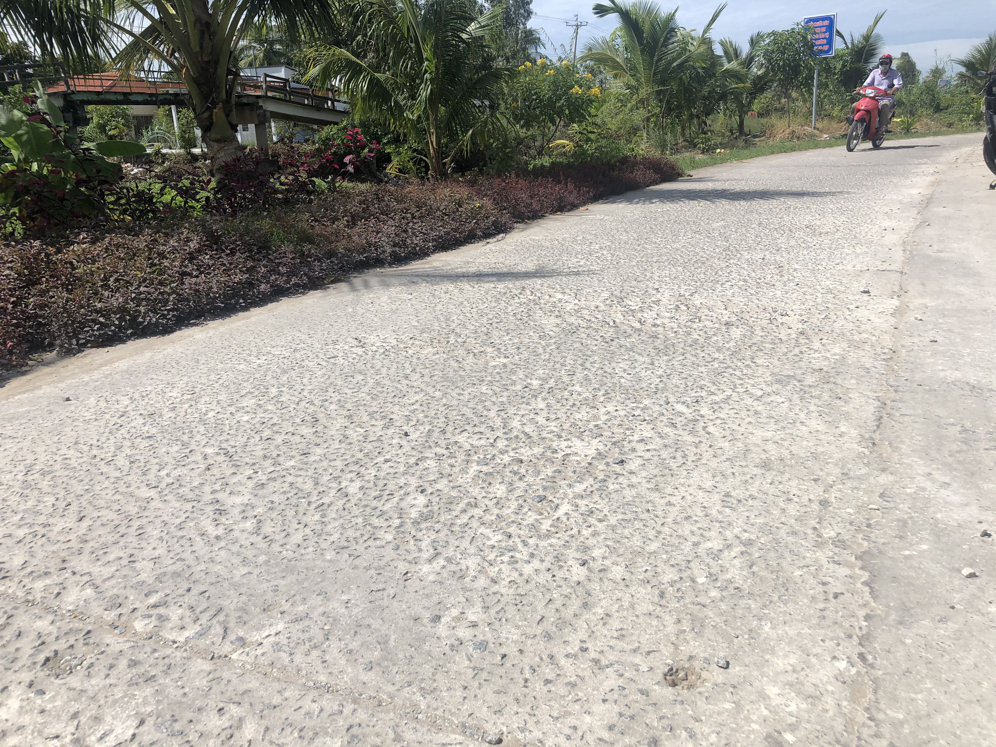 Đường b&ecirc; t&ocirc;ng 4 tỉ đồng mới nghiệm thu đ&atilde; bầy hầy như đường ruộng - Ảnh 5.