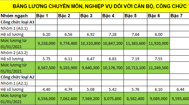 Bảng lương c&aacute;n bộ, c&ocirc;ng chức, vi&ecirc;n chức năm 2021 - Ảnh 1.