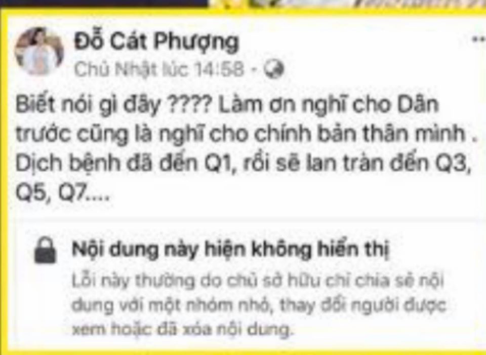Nghệ sĩ Cát Phượng xin lỗi, bị xử phạt vì thông tin sai về virus corona - Ảnh 4.