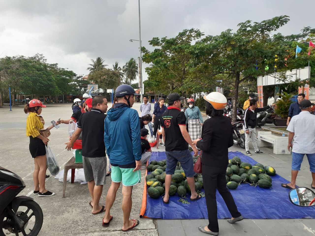 Một buổi sáng, người Hội An giải cứu hơn 7 tấn dưa hấu bí đường sang Trung Quốc - Ảnh 10.