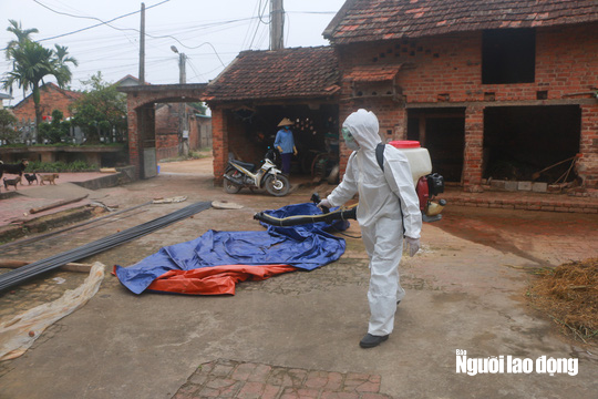 Cuộc sống của người d&acirc;n x&atilde; Sơn L&ocirc;i trong ng&agrave;y đầu bị c&aacute;ch ly bởi dịch Covid-19 - Ảnh 9.