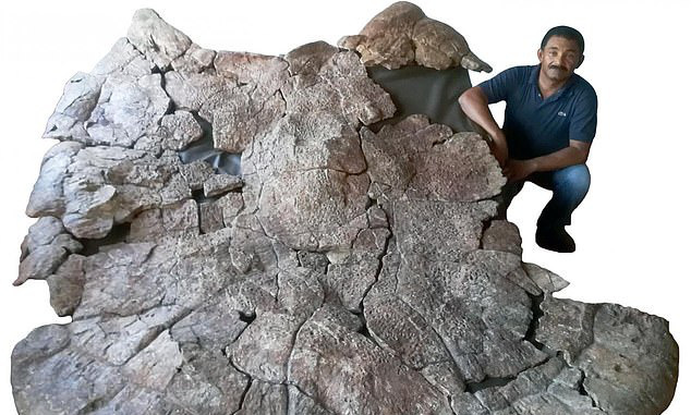 Choáng váng "thủy quái bọc thép" 10 triệu tuổi xuất hiện giữa sa mạc