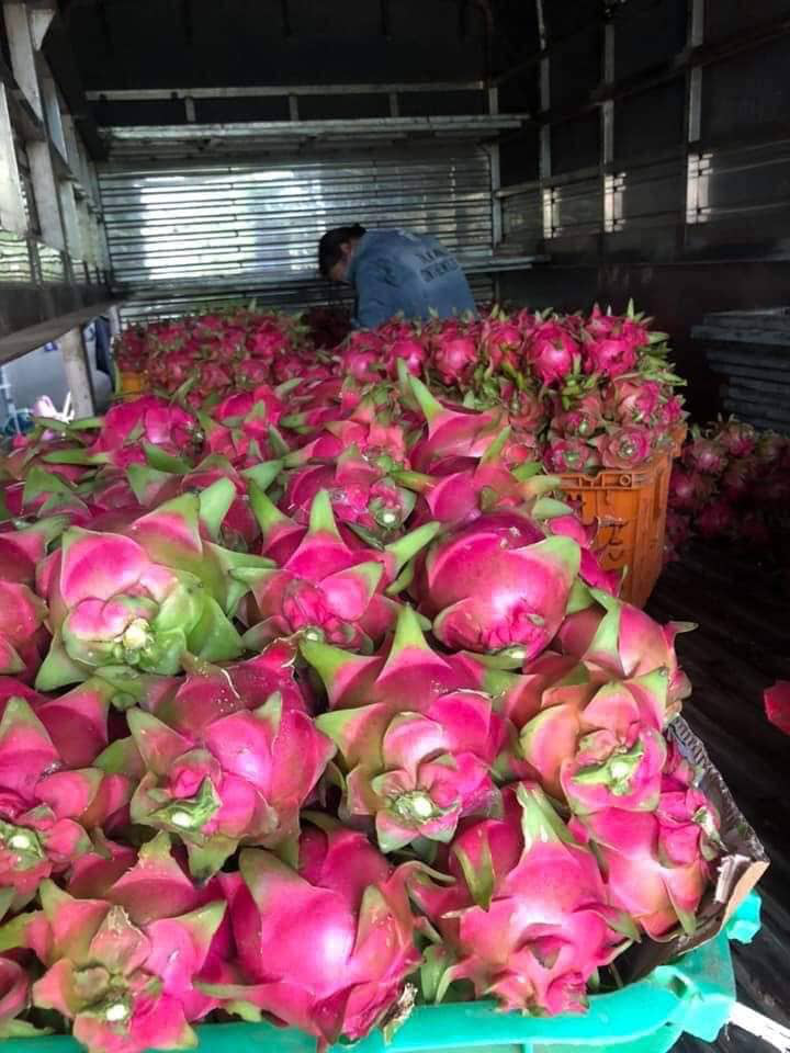 Những điều tốt, dù là nhỏ nhất của sẽ góp phần làm xã hội tốt đẹp hơn