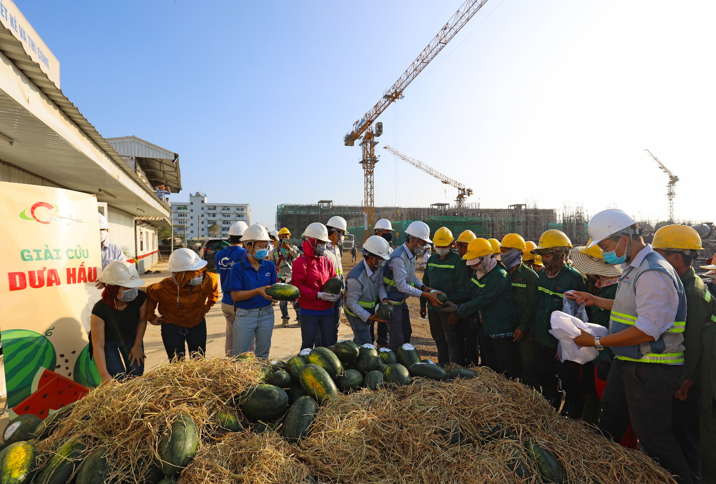 Coteccons chung tay “giải cứu” nông sản - Ảnh 2.