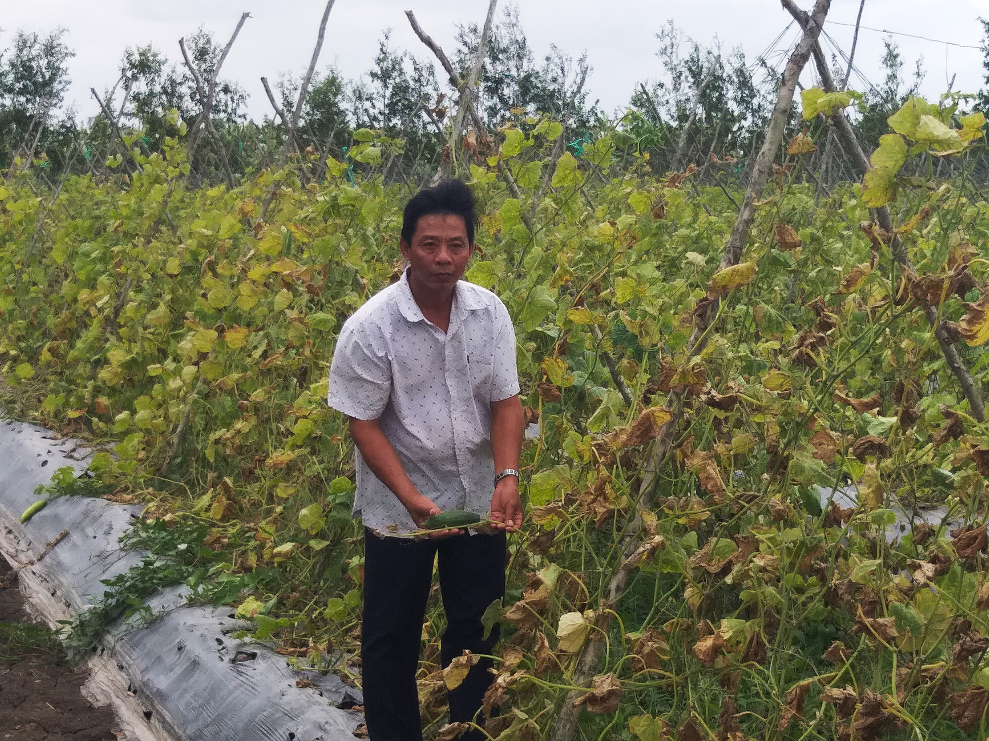 Né mặn, được lợi