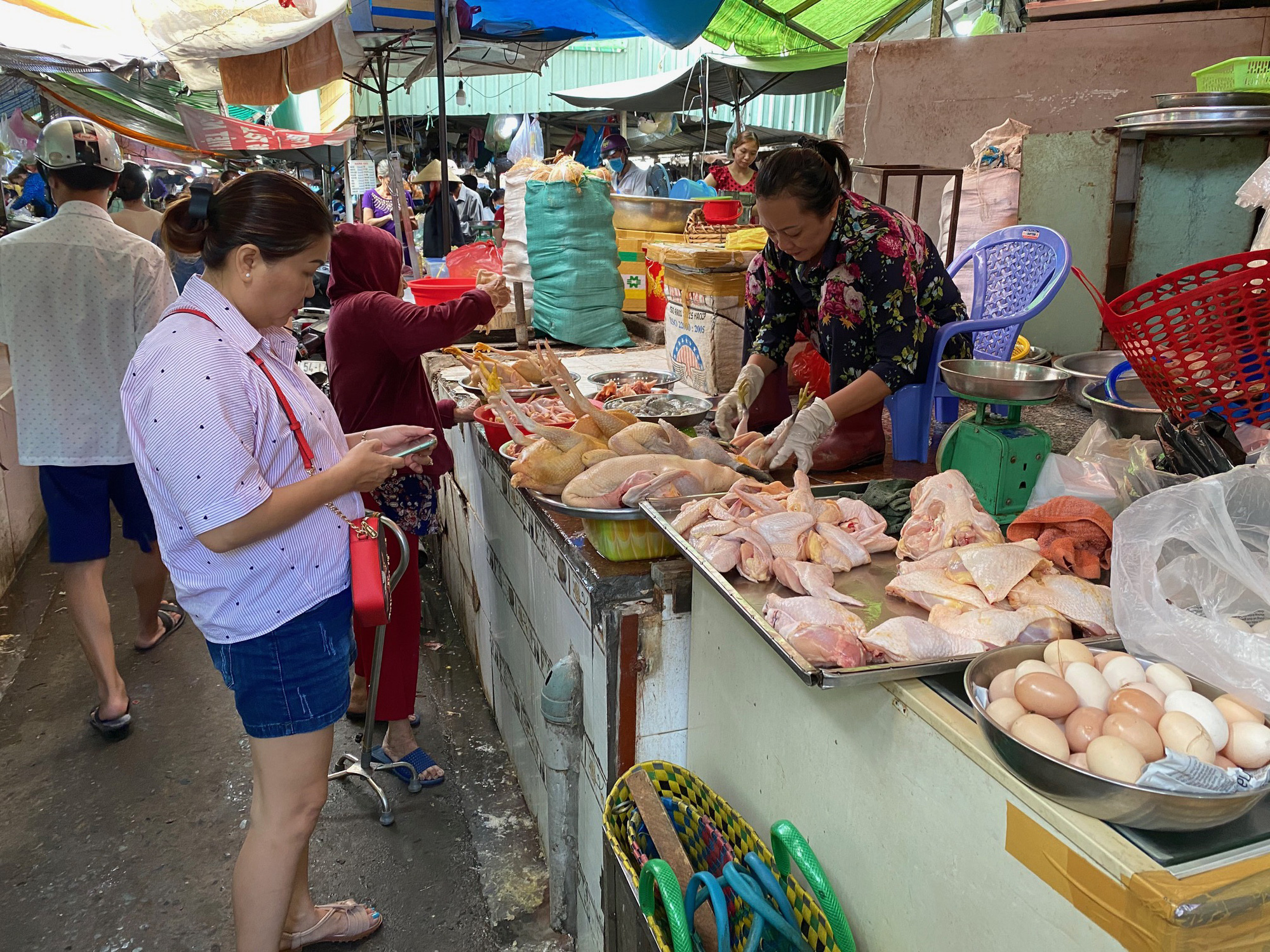 Giá gà công nghiệp xuống thấp kỷ lục, người nuôi lỗ nặng