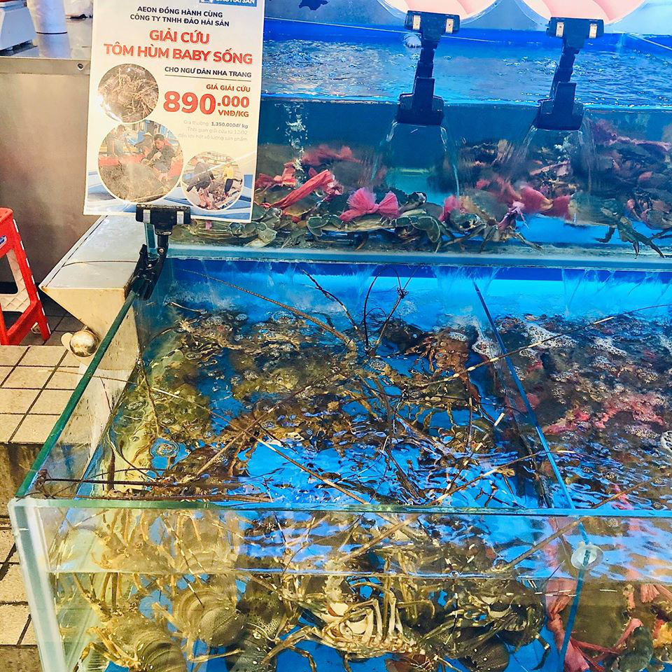 Si&ecirc;u thị đua nhau giải cứu t&ocirc;m h&ugrave;m - Ảnh 1.