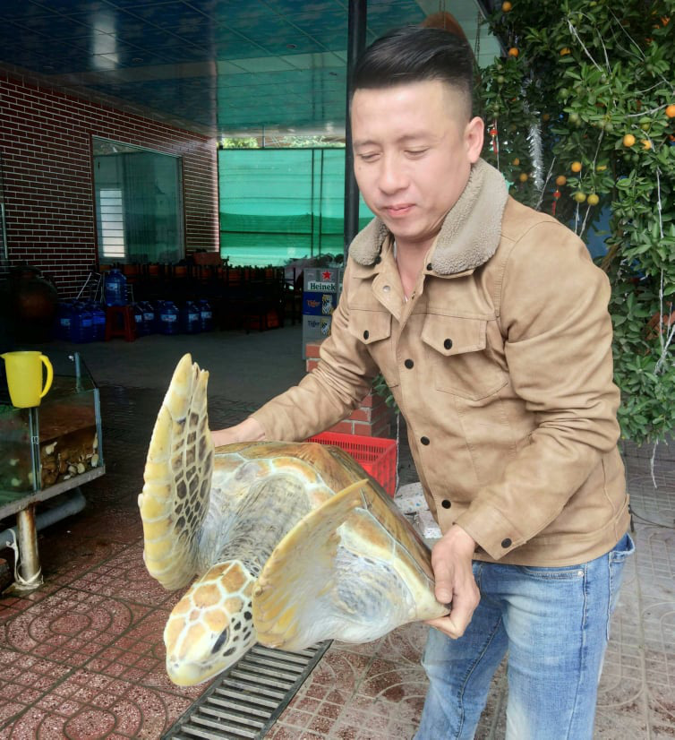 Chủ nh&agrave; h&agrave;ng n&oacute;i mua r&ugrave;a biển qu&yacute; hiếm nặng 30 kg để thả về biển - Ảnh 2.