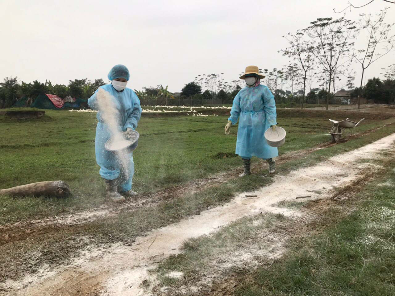 Không để dịch cúm gia cầm lan rộng - Ảnh 1.