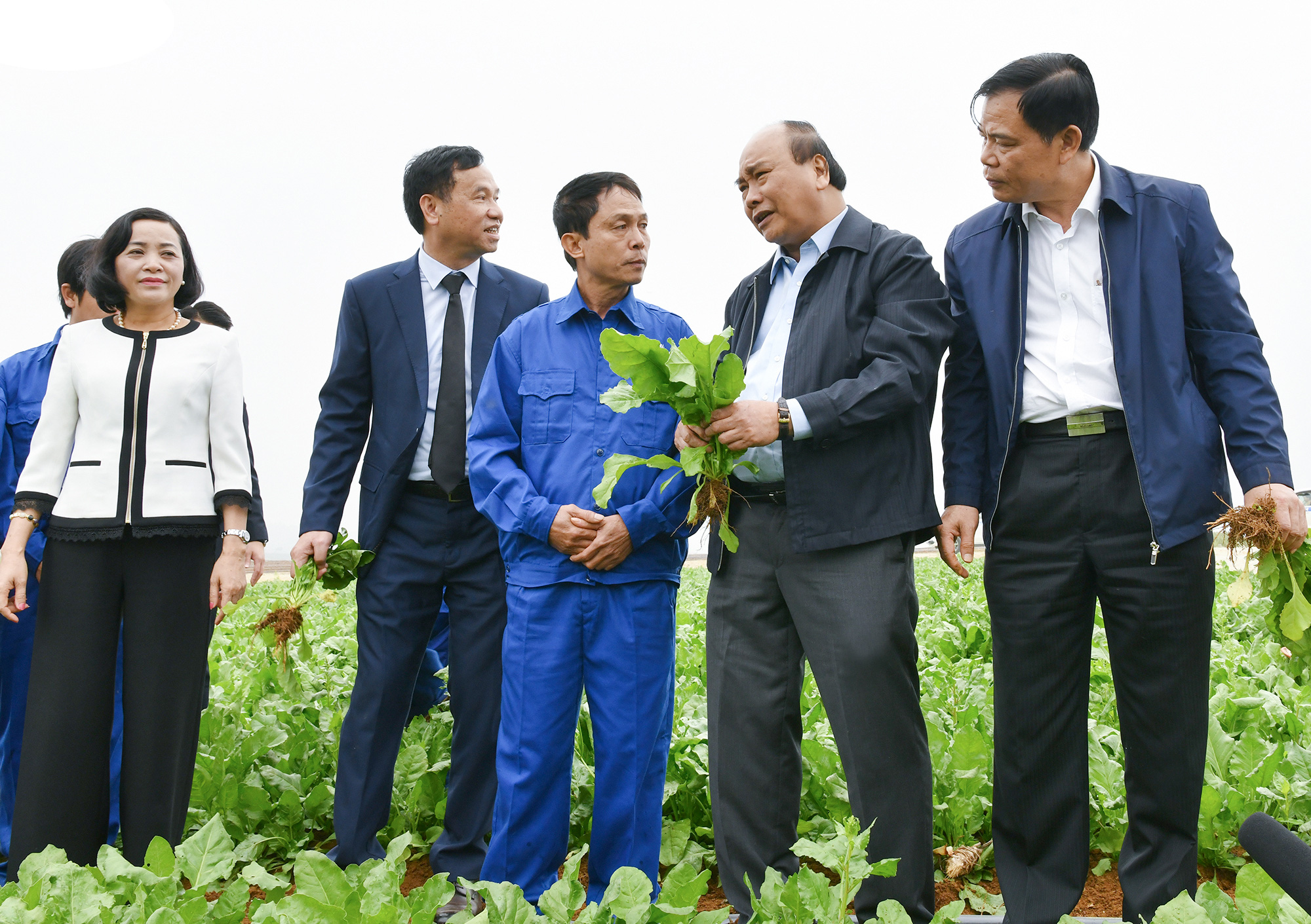 Nông nghiệp cần "cởi trói" chính sách