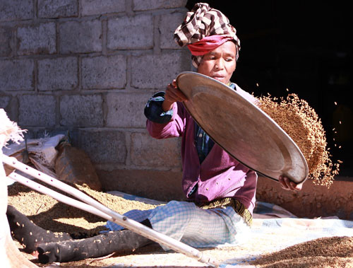 Cuộc thi ảnh Nét đẹp lao động: Góp sức cho đời - Ảnh 3.