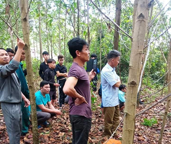 Quảng Bình: Một người đàn ông chết trong tư thế treo cổ ở vườn keo