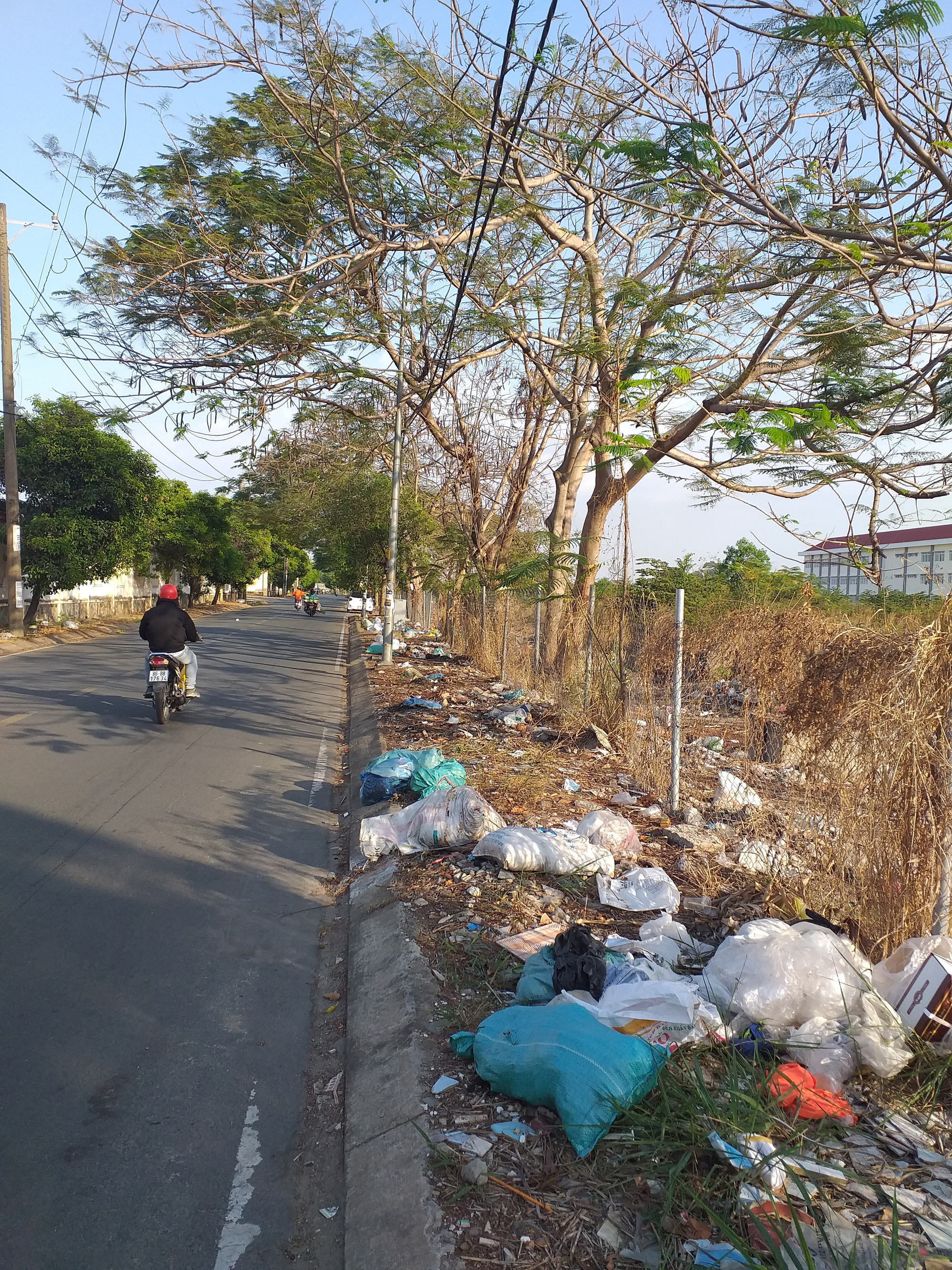 Nhếch nhác vì rác thải - Ảnh 1.
