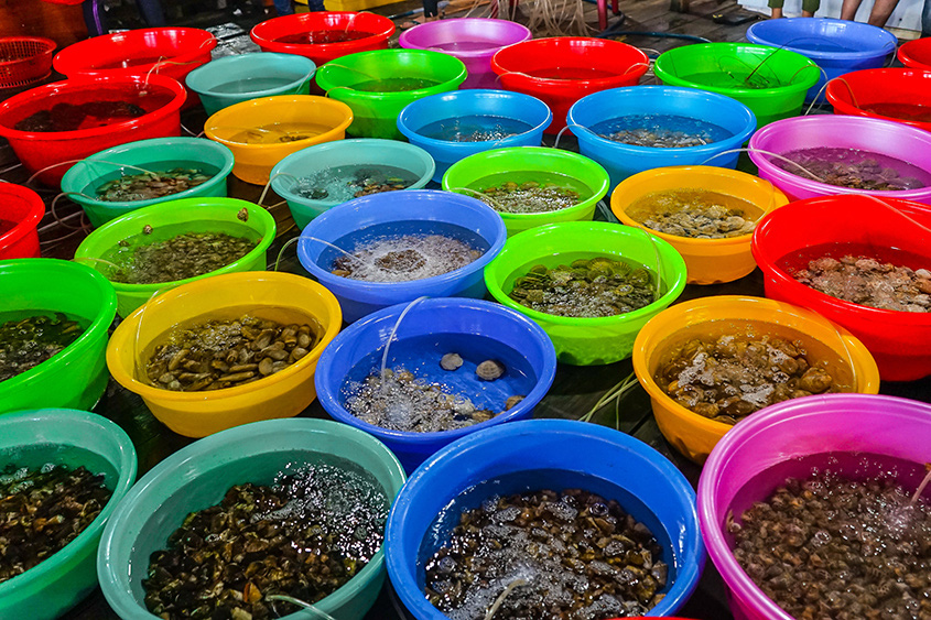 Gợi &yacute; ăn chơi ở Quy Nhơn th&aacute;ng 3 - Ảnh 26.