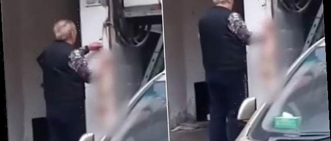 Dân mạng Trung Quốc giận sôi vì clip lột da mèo giữa tâm dịch Vũ Hán