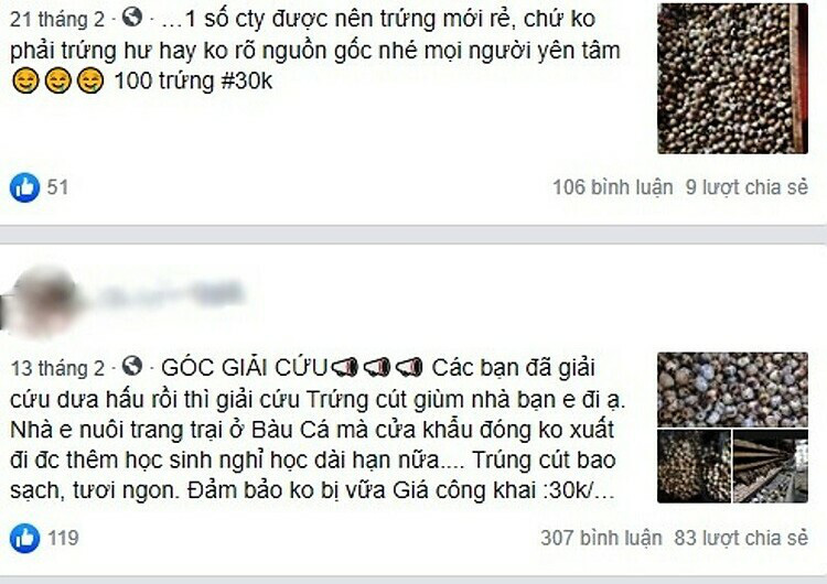 Gắn m&aacute;c giải cứu để b&aacute;n h&agrave;ng gi&aacute; cao - Ảnh 2.